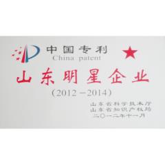 山東明星企業